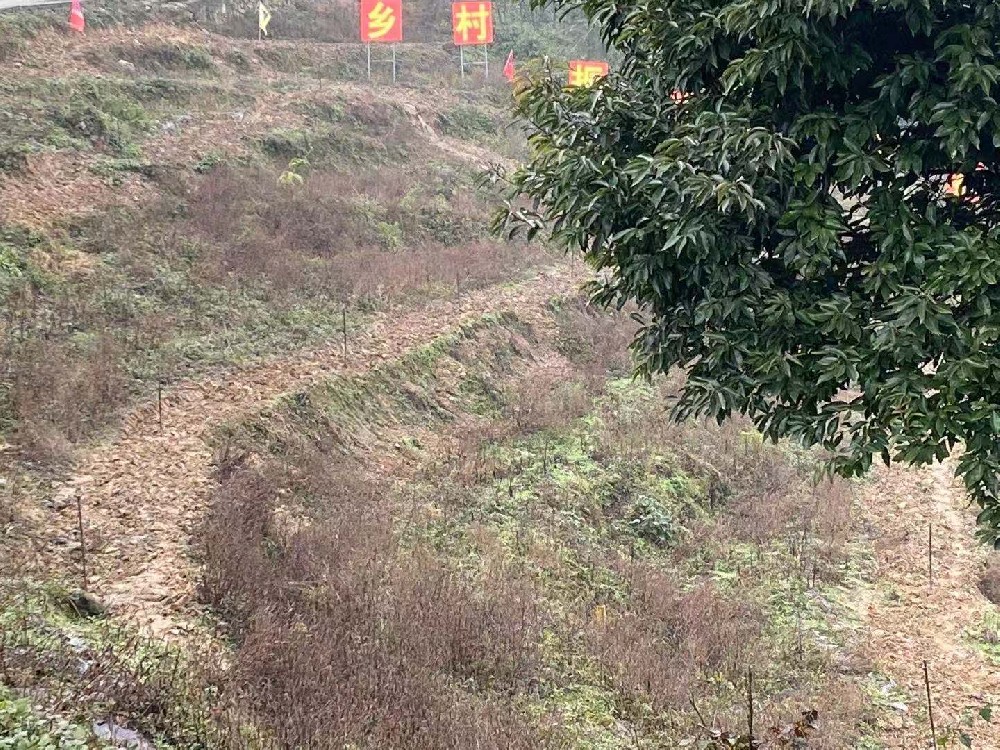 宜賓市珙縣上羅鎮(zhèn)噴灌項目