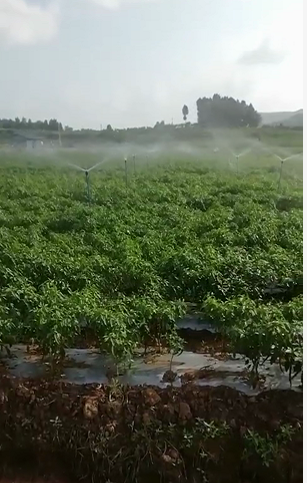 閬中市枇杷蔬菜園物聯(lián)網(wǎng)水肥一體化項(xiàng)目